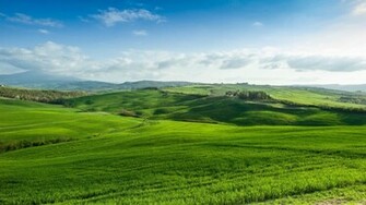 Beautiful Green Landscape Wallpaper