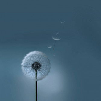 Top Samsung Galaxy Tablet Wallpaper Full HD 4k To Use