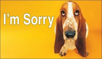 Sorry Wallpaper Im