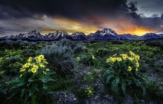 Grand Teton National Park Wallpaper
