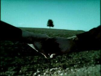 Six Feet Under Wallpaper