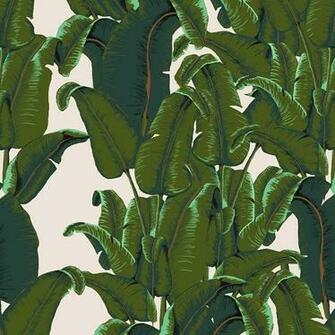 Banana Leaf Wallpaper Tiles Tropical By Design Your