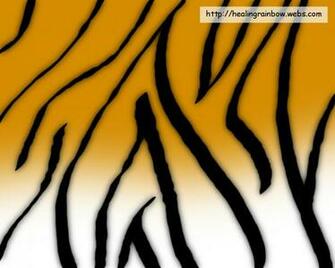 Tiger Fur By Anna Desktop Wallpaper