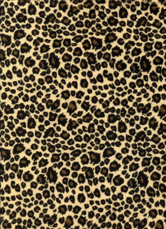 Leopard Background Wallpaper
