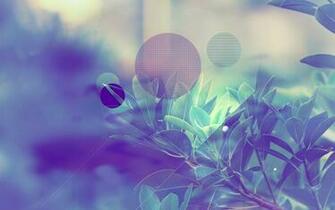 Abstract Nature Wallpaper