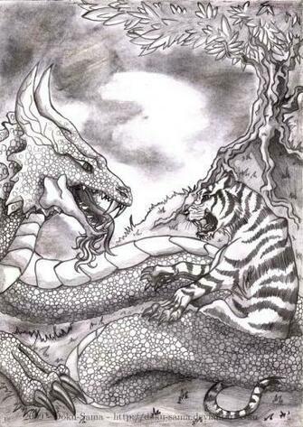 Tiger Versus Dragon By Doku Sama