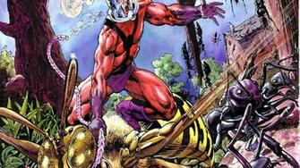 Ant Man High Quality And Resolution Wallpaper On
