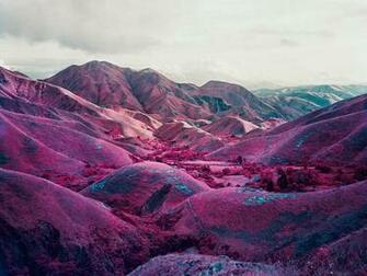 Richard Mosse Sees Red In Congo Photography Agenda