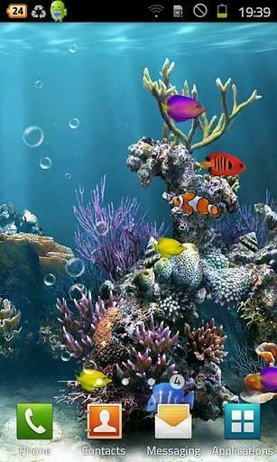 Fish Live Wallpaper Is A Fun Where You Can Have