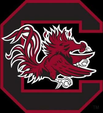 Gamecock Football Background Image Amp Pictures Becuo