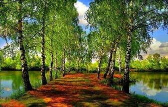 Green Birch Spring Forest Sky Clouds Wallpaper Photos Pictures