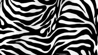 Zebra Pattern Digital Art