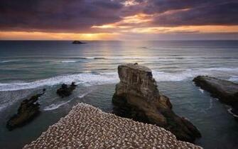 Island New Zealand Nature Wallpaper Hq