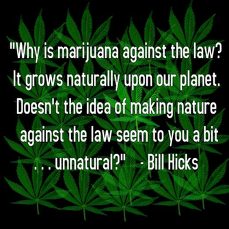Funny Stoner Quotes