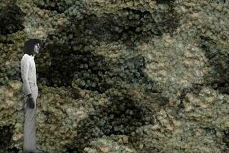 Lil Druzy Flavor Paper