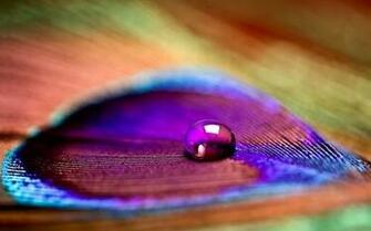 Beautiful Water Drop Wallpaper For Your Desktop Pixelorbital
