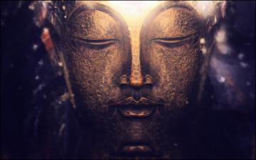 Zen Purple Buddha Macro Bokeh Buddhism