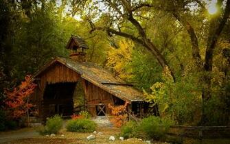 Bridge Trees Autumn Forest G Wallpaper