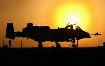 Warthog Wallpaper Group Picture Image By Tag Keywordpictures