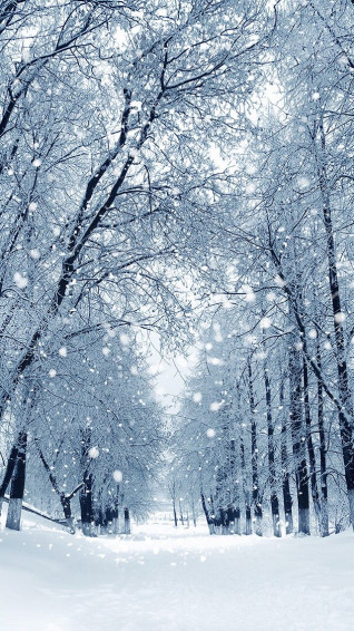 Cold Weather Wallpaper Winter Scenery