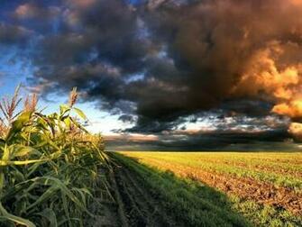 Nature Dual Monitor Widescreen Wallpaper