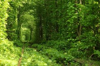 Tunnel Of Love In Kleven Ukraine Vistanature