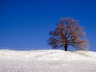 Scene Wallpaper Snowy Winter Landscape Snow Photography5