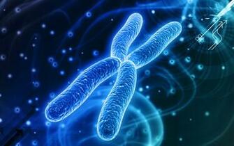Chromosome Civitas Central College