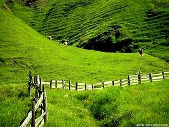 Wallpaper Nature Scene HD