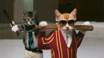 Badass Wallpaper Cats Desktop