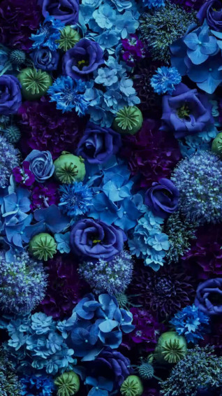 Aesthetic Wallpaper Blue Flowers At Tayla Bugnion