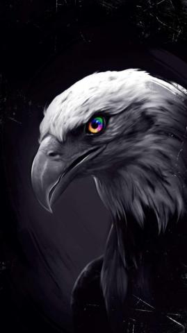 Black Eagle Wallpaper