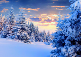 Winter Sunset HD Wallpaper