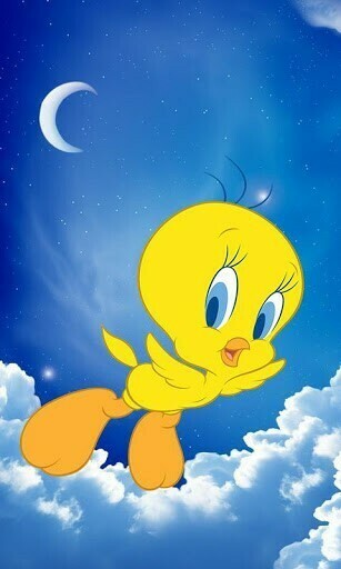 Tweety Bird Wallpaper More Pic It S A Absolutelly