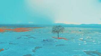 Bts Spring Day Wallpaper HD