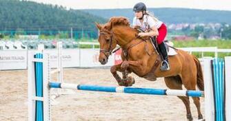 Girl On Horse Sport 4k Ultra HD Wallpaper Ololoshenka