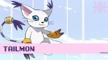 Tailmon Wallpaper By Roscio2