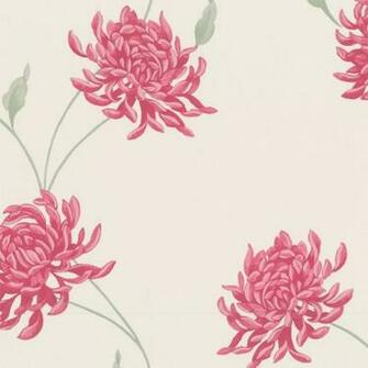 Buy Graham And Brown Eve Wallpaper Pink Cream