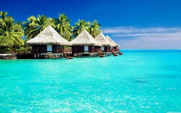 Tropical Desktop Wallpaper HD