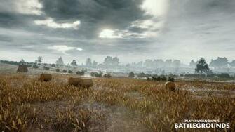 Playerunknown S Battlegrounds Background Pictures Image