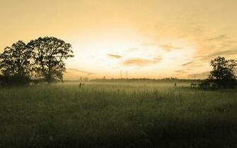 Foggy