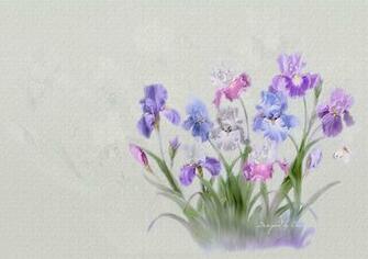 Welcome Spring