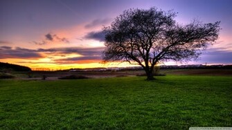 HDr Landscape Wallpaper