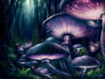 Imagen Guapa De Estas Setas Magicas Parece Que Tienen Vida Foto
