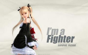 Doa5 Last Round Wallpaper 2b Portal