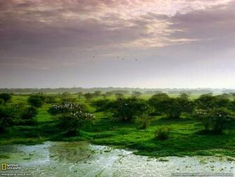 Keoladeo National Park Photo India Wallpaper Geographic