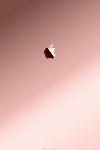 iPhone iPad Rose Gold With Apple3 Wallpaper For