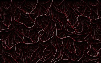 Vine Wallpaper
