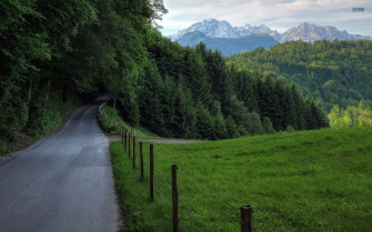 Forest Road Fences Mountains Wallpaper