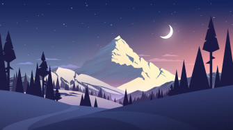4k Vector Wallpaper